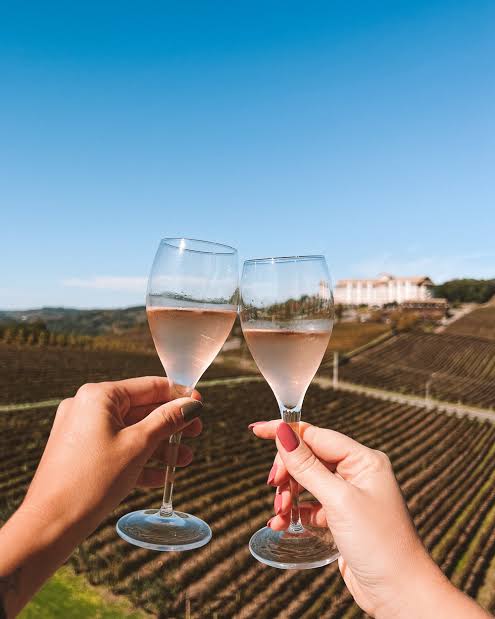 Tour Vale Dos Vinhedos 